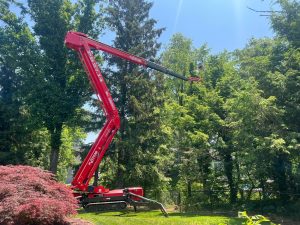 Equipment being used to prune trees.