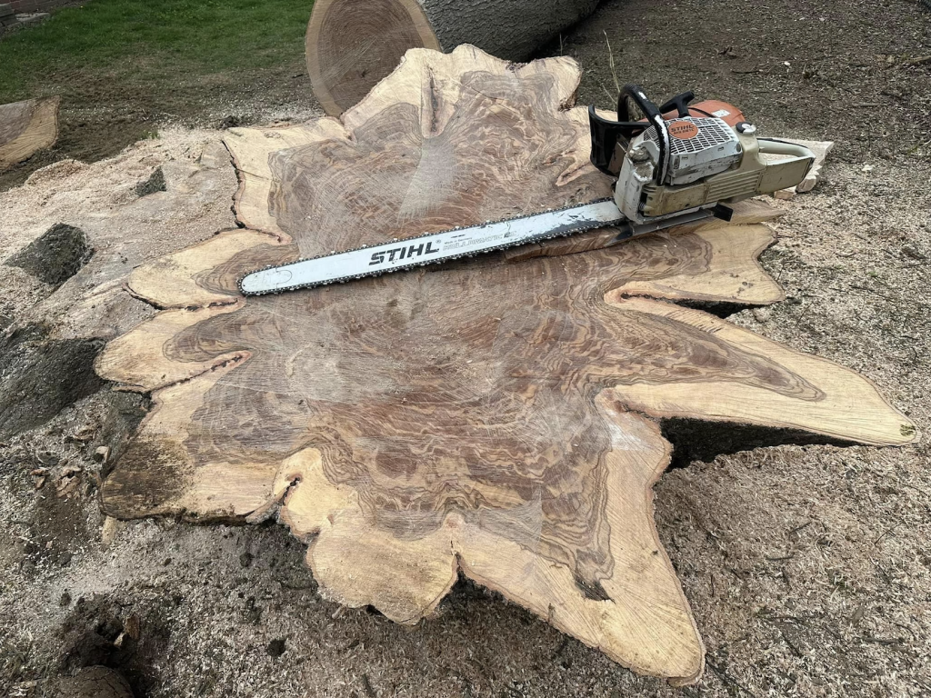 Unique leftover stump from tree removal.