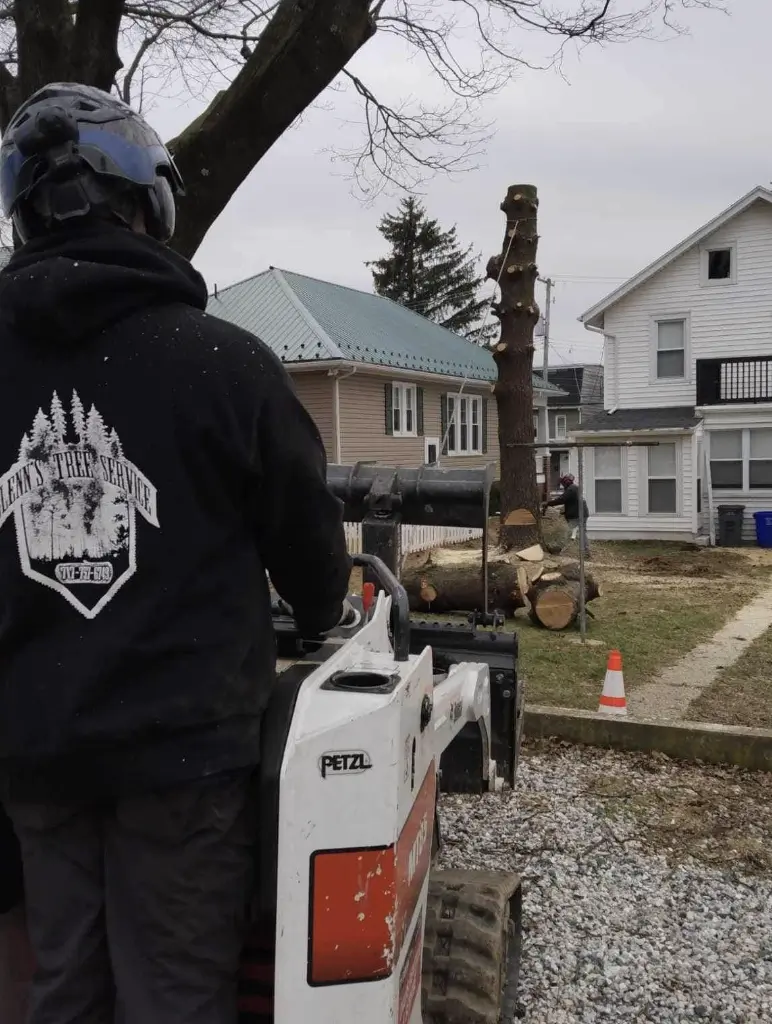 Screenshot-2024-06-27-at-3.59.40-PM Cleaning up limbs after tree removal